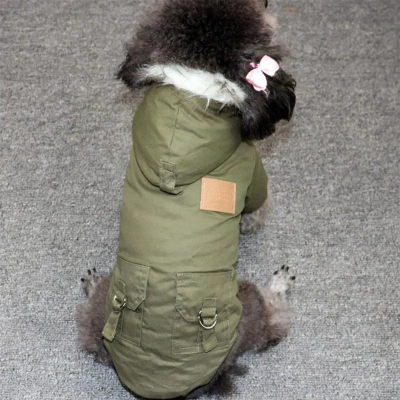 Winter Pet jacket and Faux Fur Collar