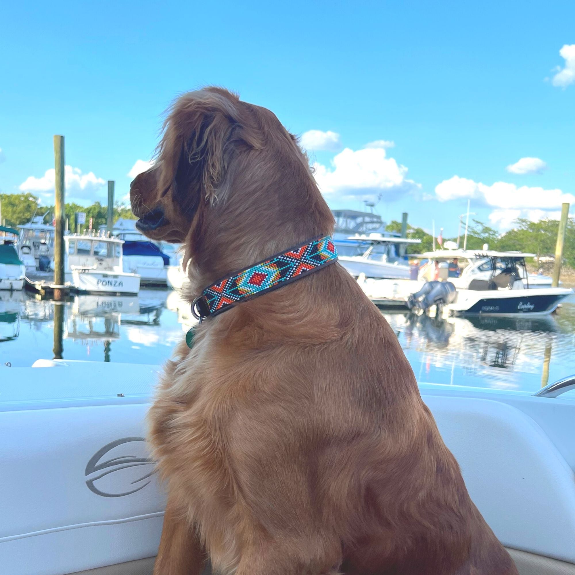 Biarritz Sambboho dog collar