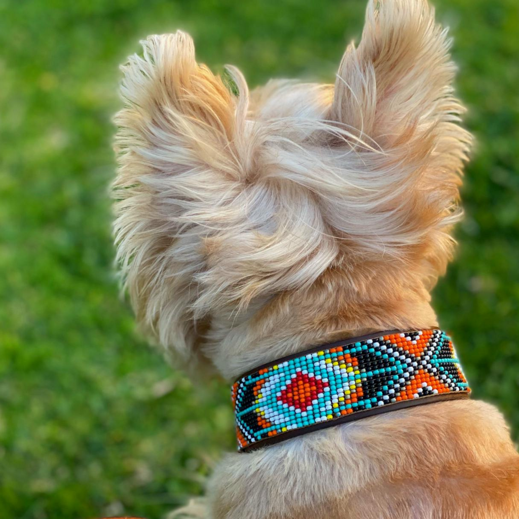 Biarritz Sambboho dog collar