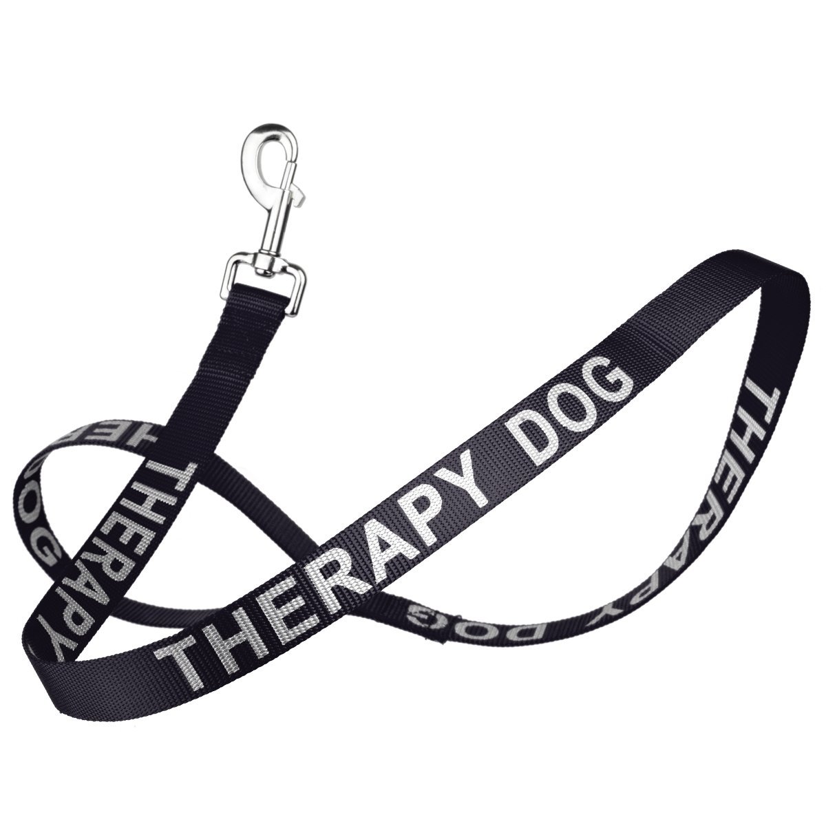 Reflective Nylon Dog Leash