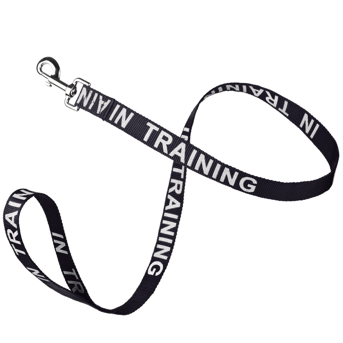 Reflective Nylon Dog Leash