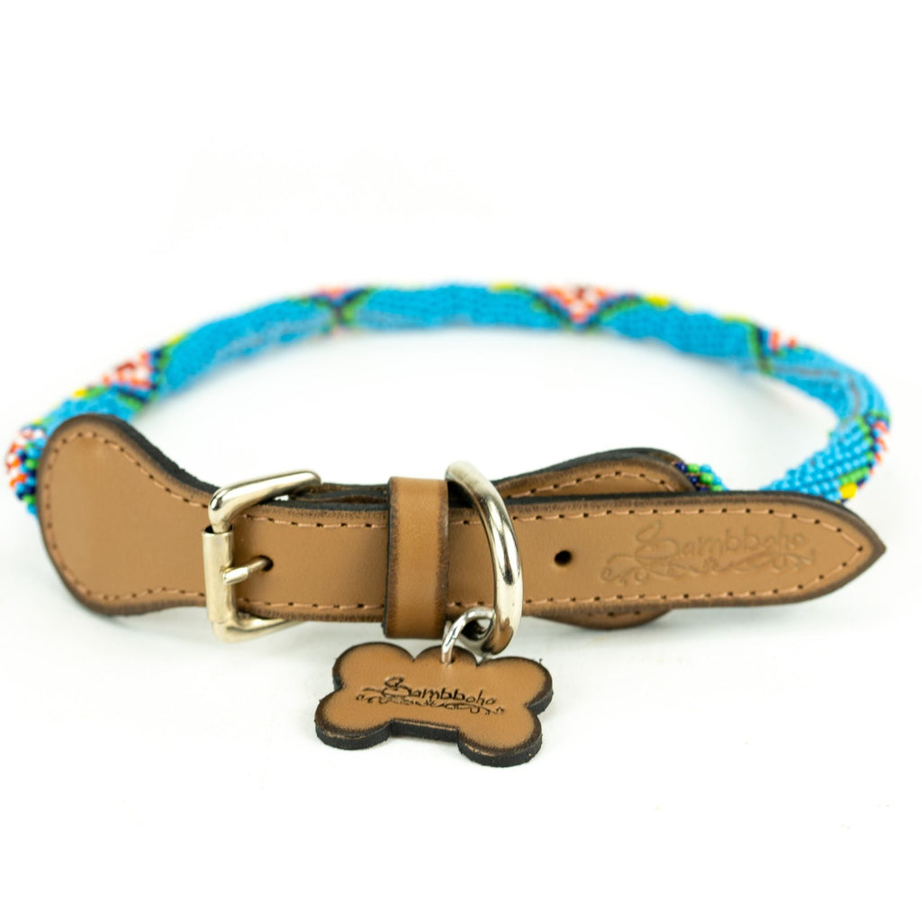 Blue Vogue Sambboho dog collar (rolled)