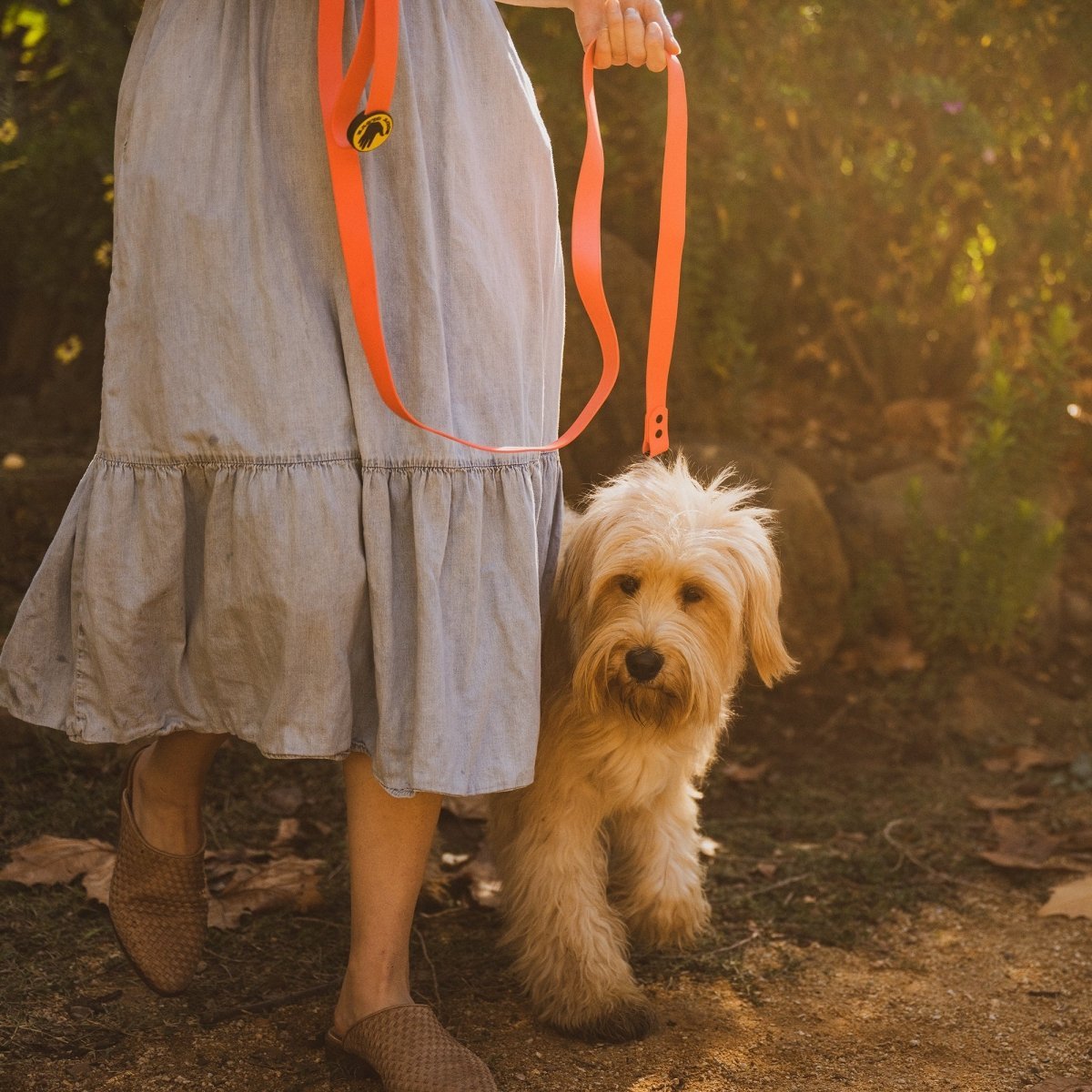 Body Glove Waterproof Dog Leash