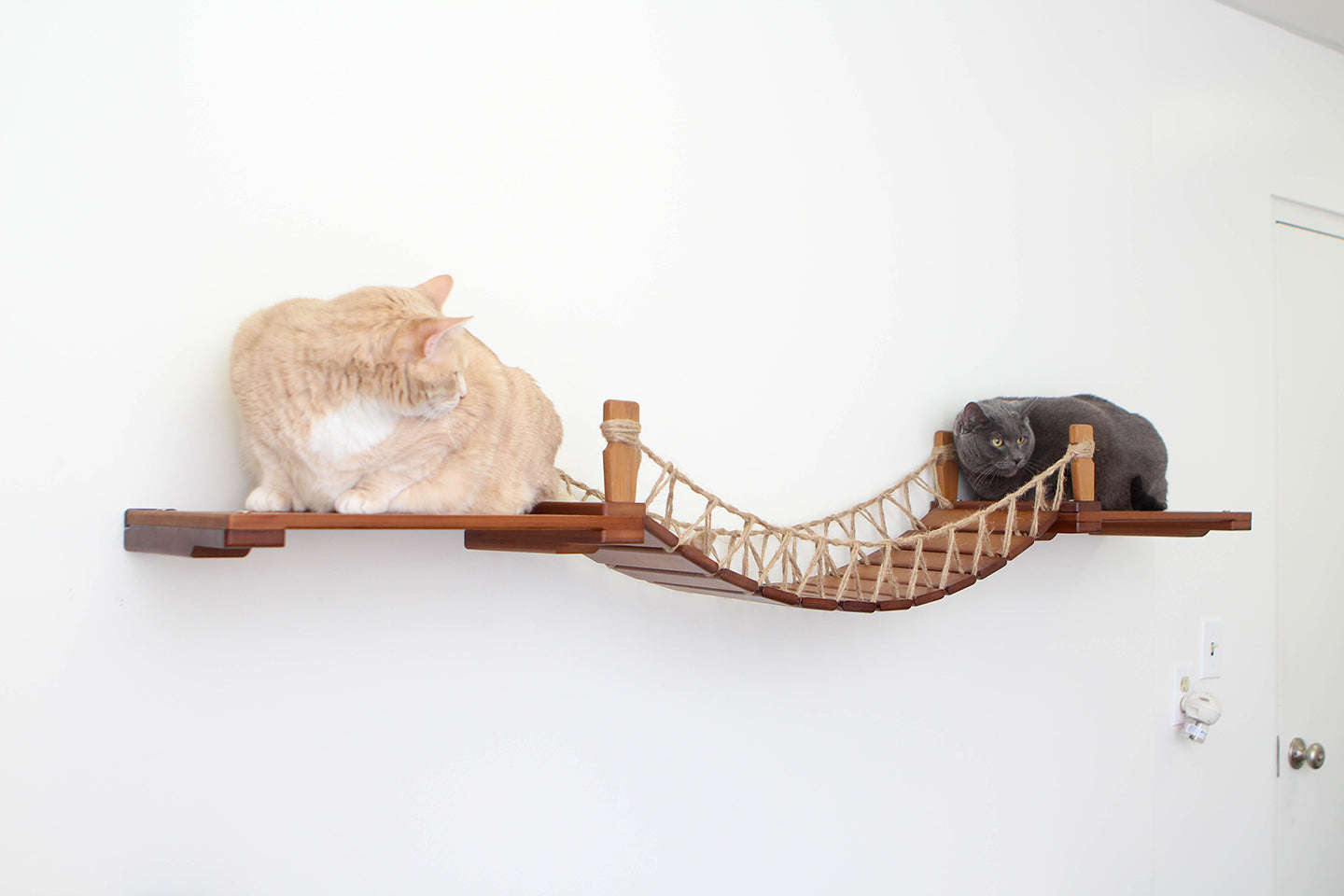 Cat Wall Bridge and Shelf Set