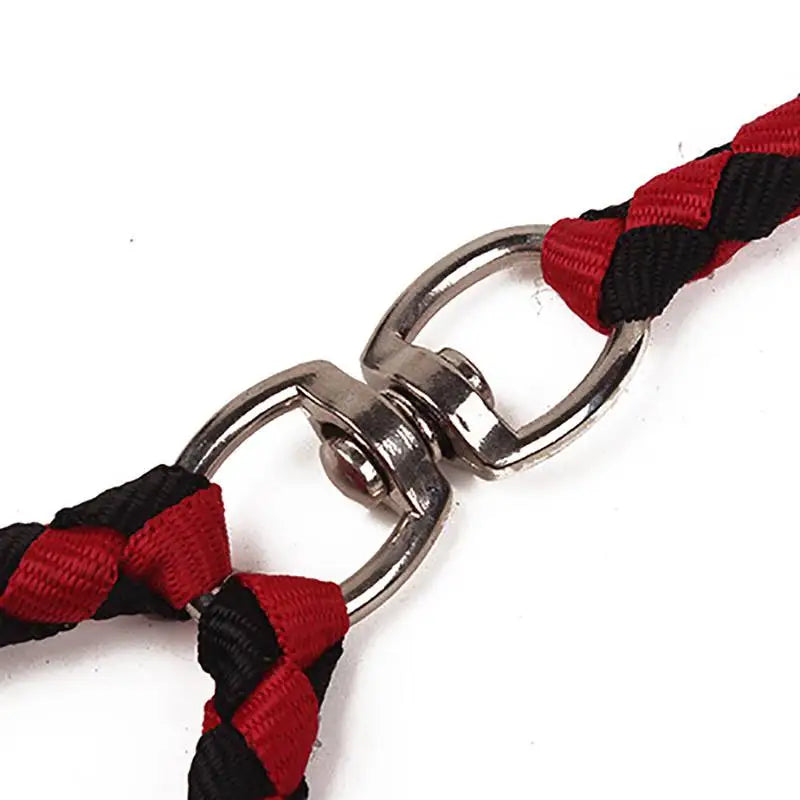 Strong Dual Dog Leash for Two Dogs