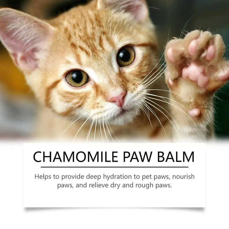 Chamomile Paw Pad Balm 30g For Dry Cracked Paws - Love My Pet