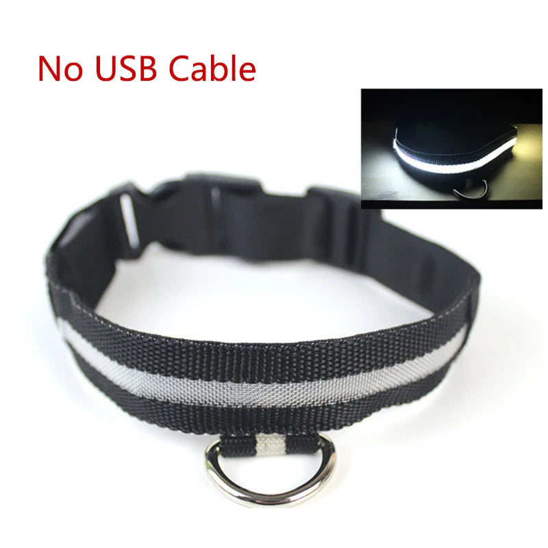 Nylon LED Pet Dog Collar USB Charging