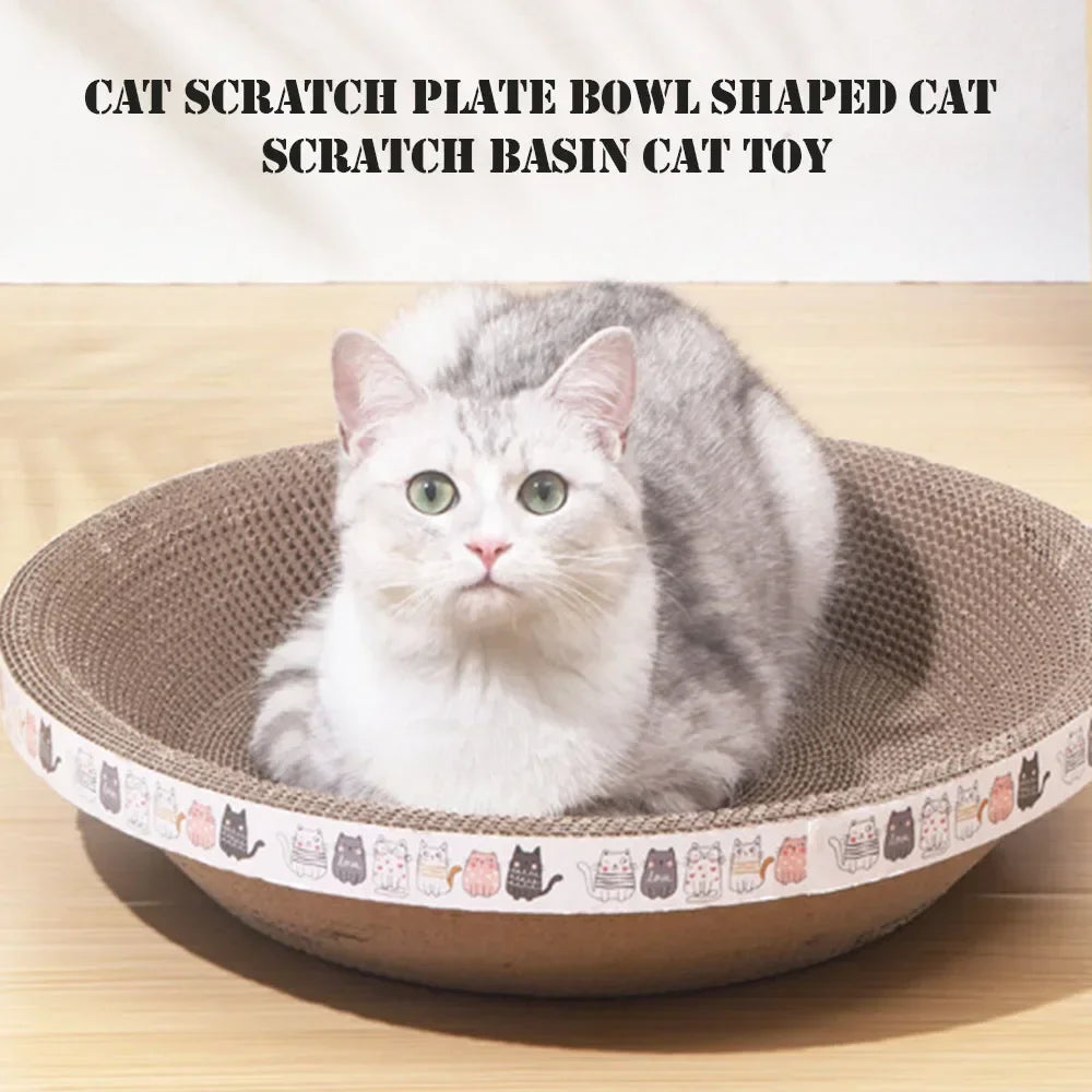 Cat Scratching Board and Bed