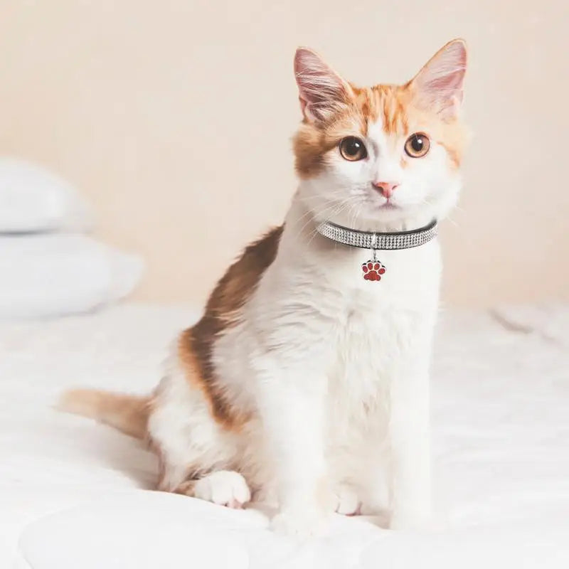 Sparkling Pet Collars With Paw Print Tag