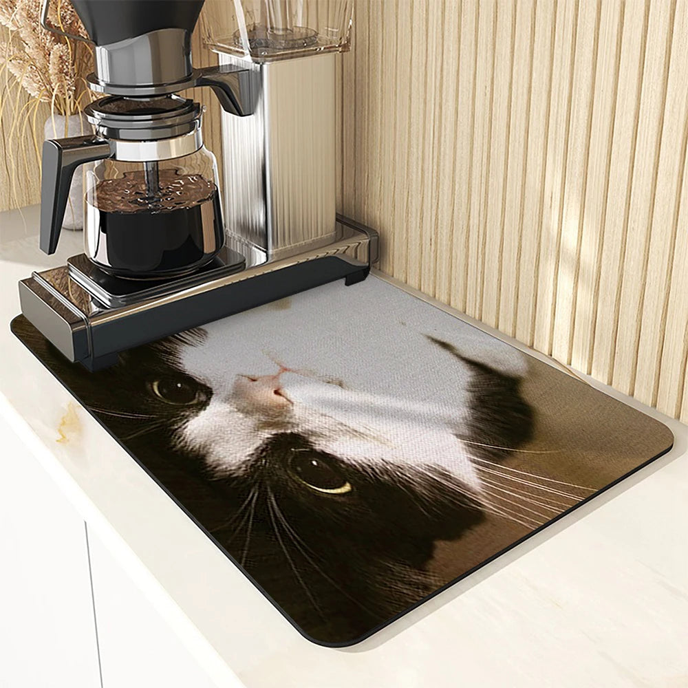 Super Absorbent Anti Skid Large Kitchen Absorbent Cat Mat