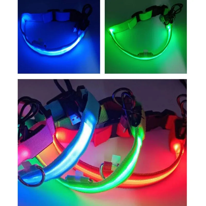 Nylon LED Pet Dog Collar USB Charging
