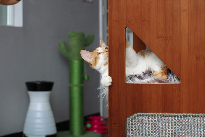 The Overlook - Sturdy - Bamboo Cat Tree