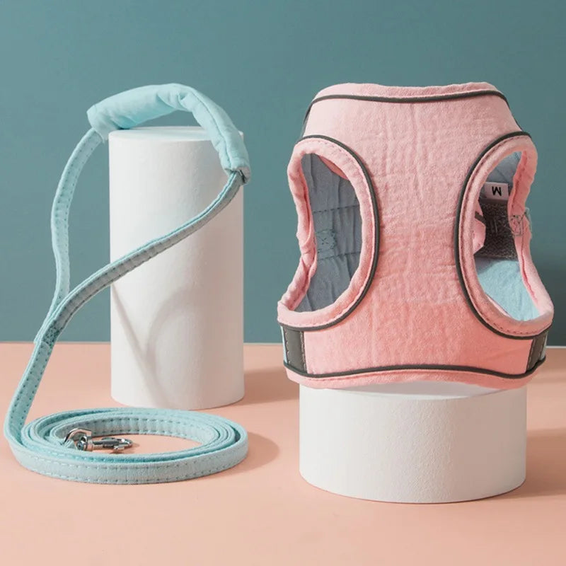 Pet Harness and Leash Set