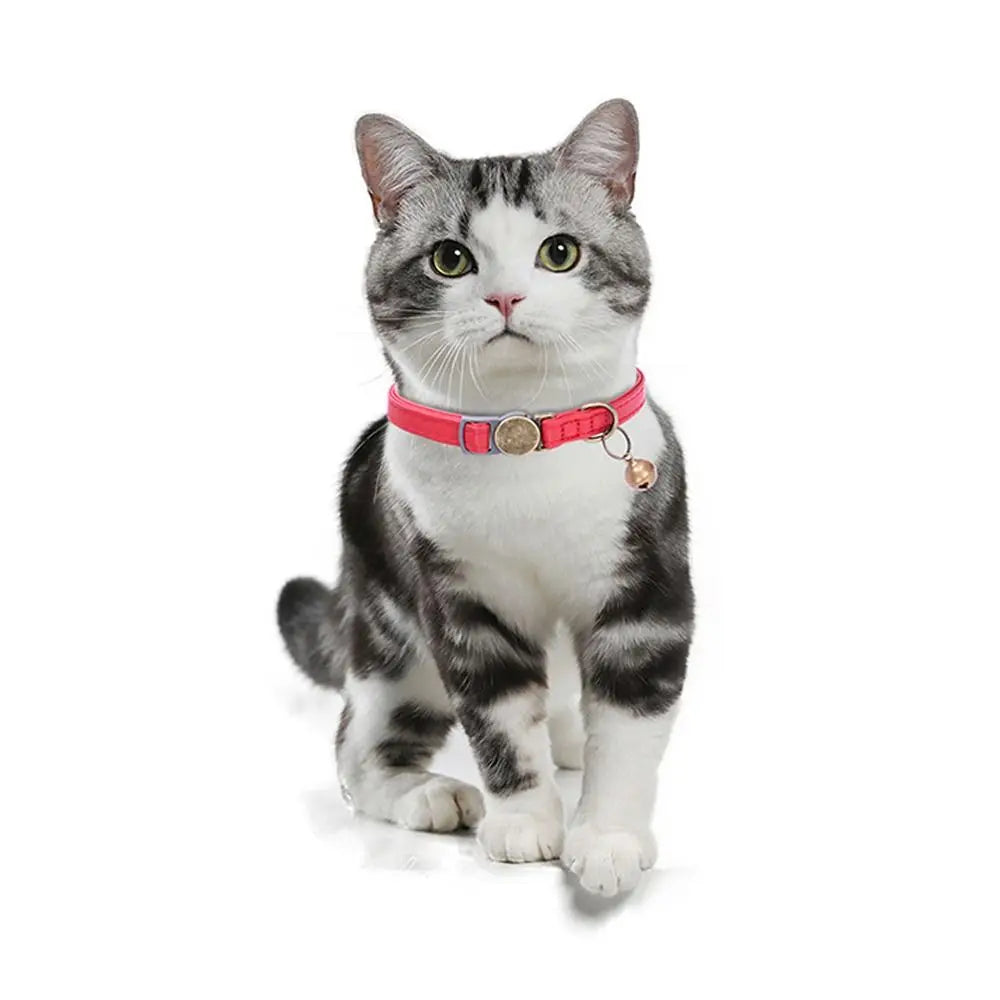 Fashion PU Leather Pet Collar