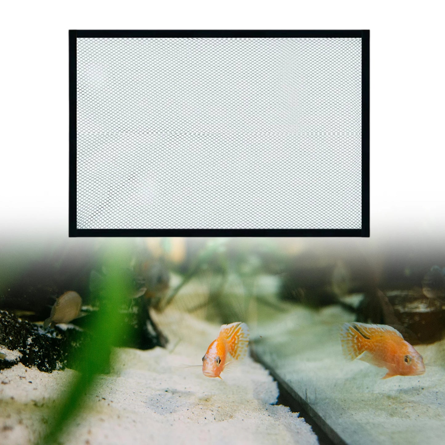 Magnetic Fish Tank Lid And Anti Jump Aquarium Screen