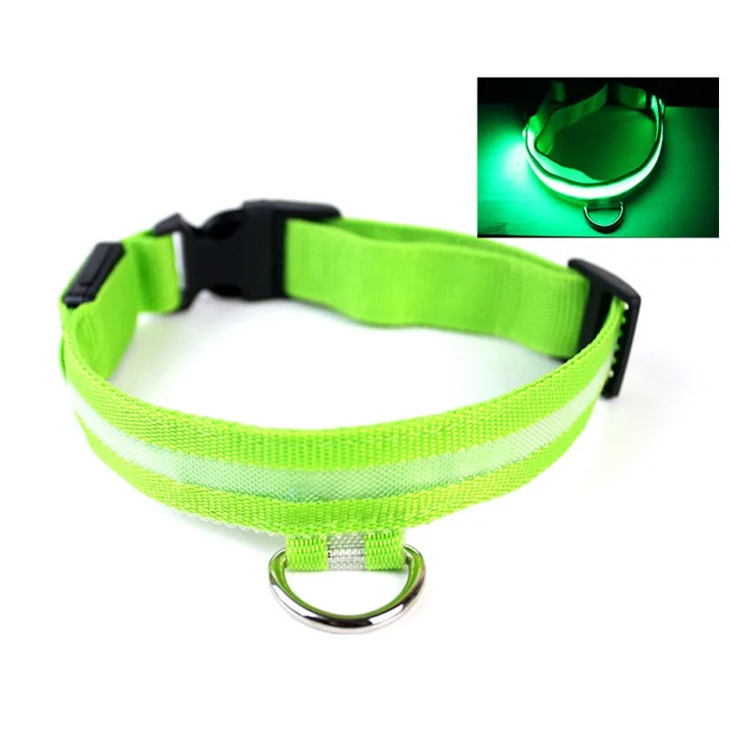 Nylon LED Pet Dog Collar USB Charging