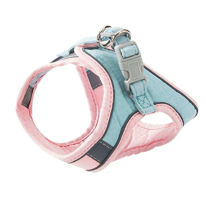 Pet Harness and Leash Set