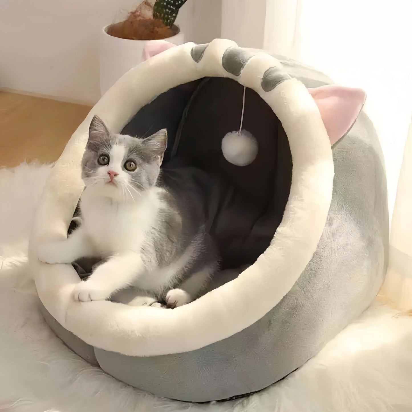 Cute Cat Bed and Pet House