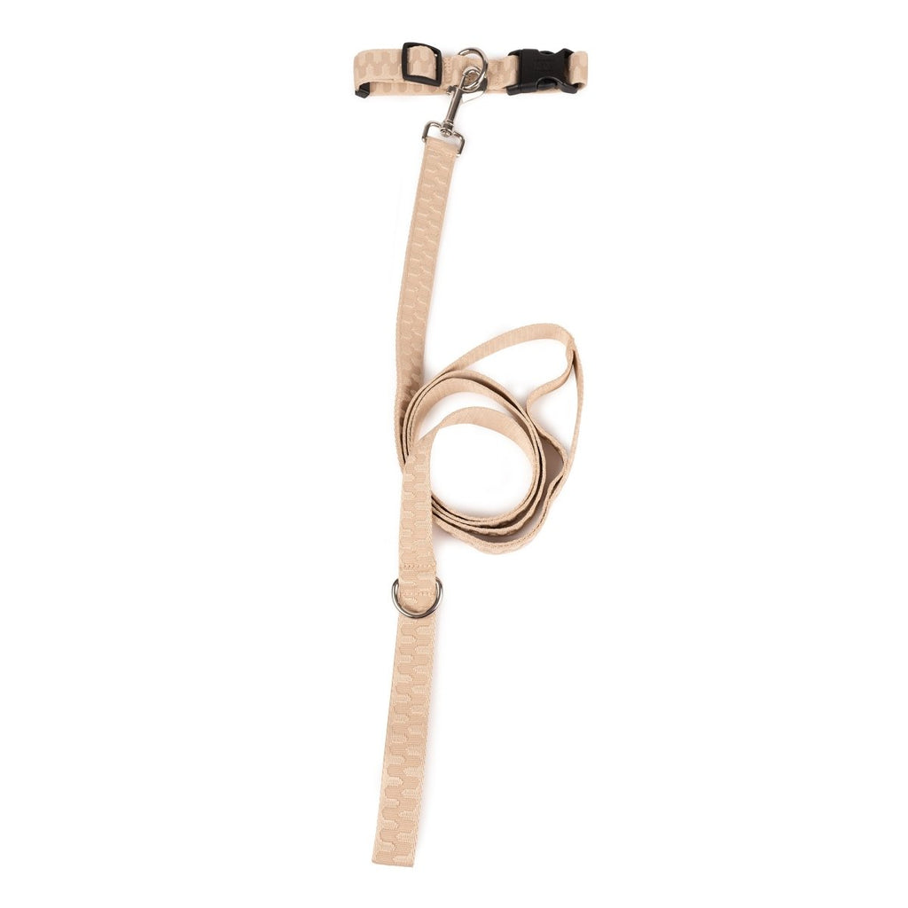 Dog Collar- Checkered Wave