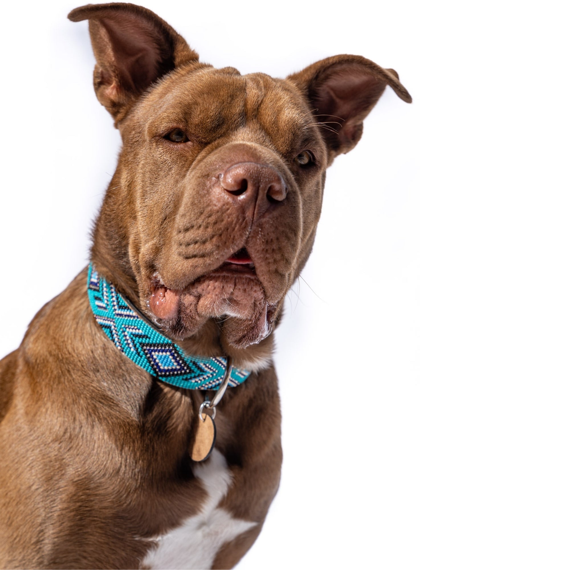 Saint Tropez Sambboho dog collar (with center D-ring)