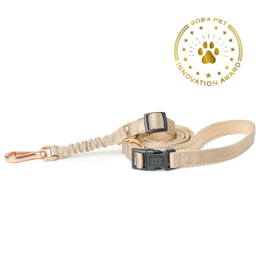 3-in-1 City Dog Leash - Dune
