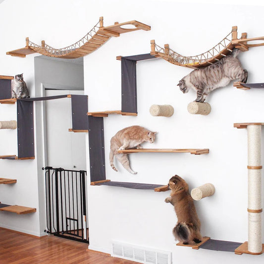 Cat Wall Climbing Acessories