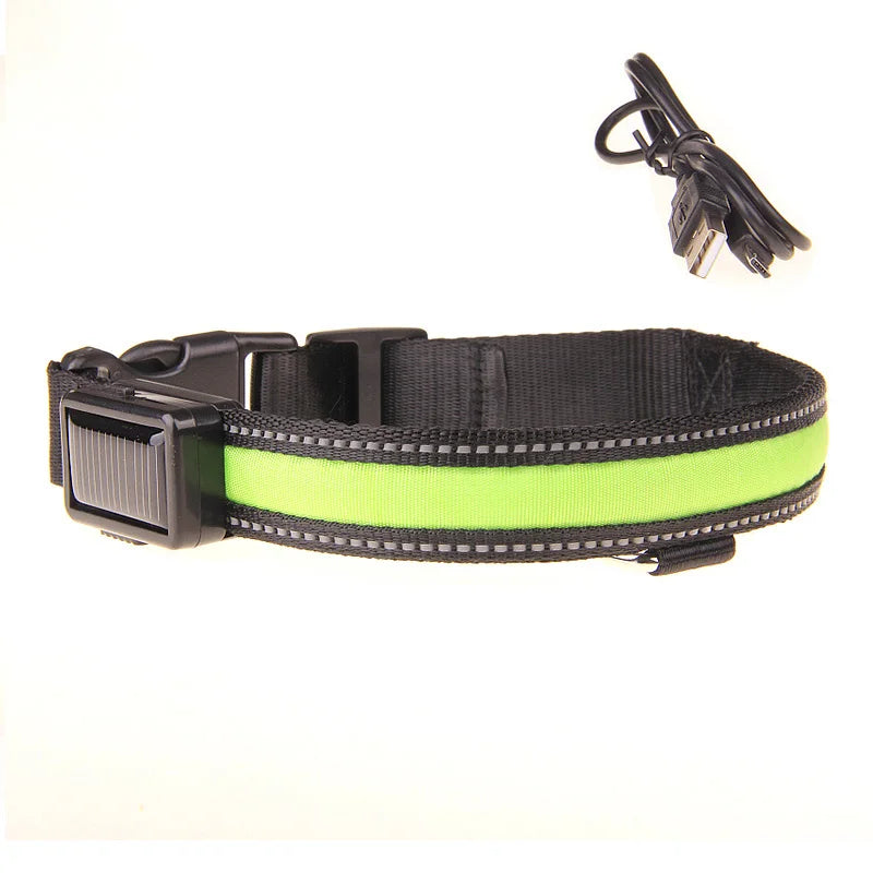 Solar Charging or USB Led Dog Collar - Love My Pet