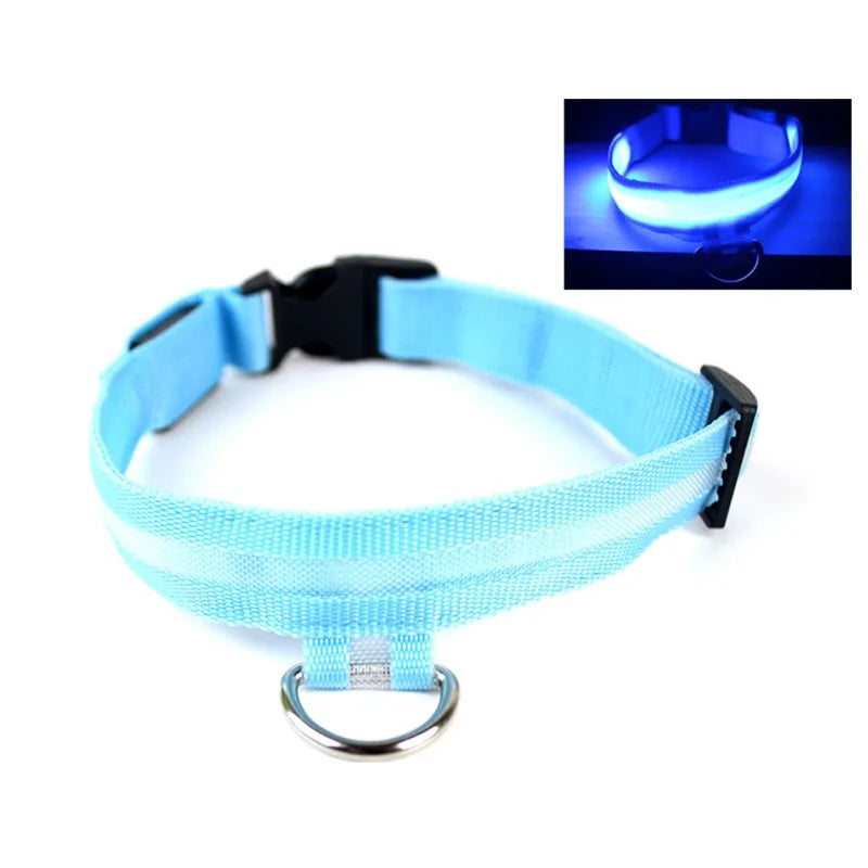 Nylon LED Pet Dog Collar USB Charging