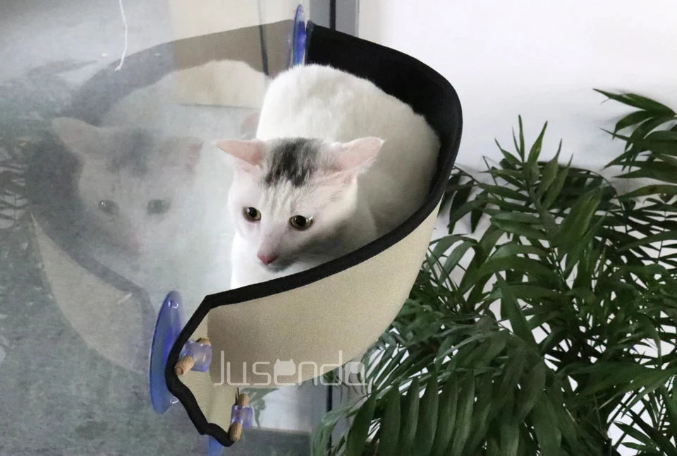 Wall Hanging Cat Hammock - Love My Pet