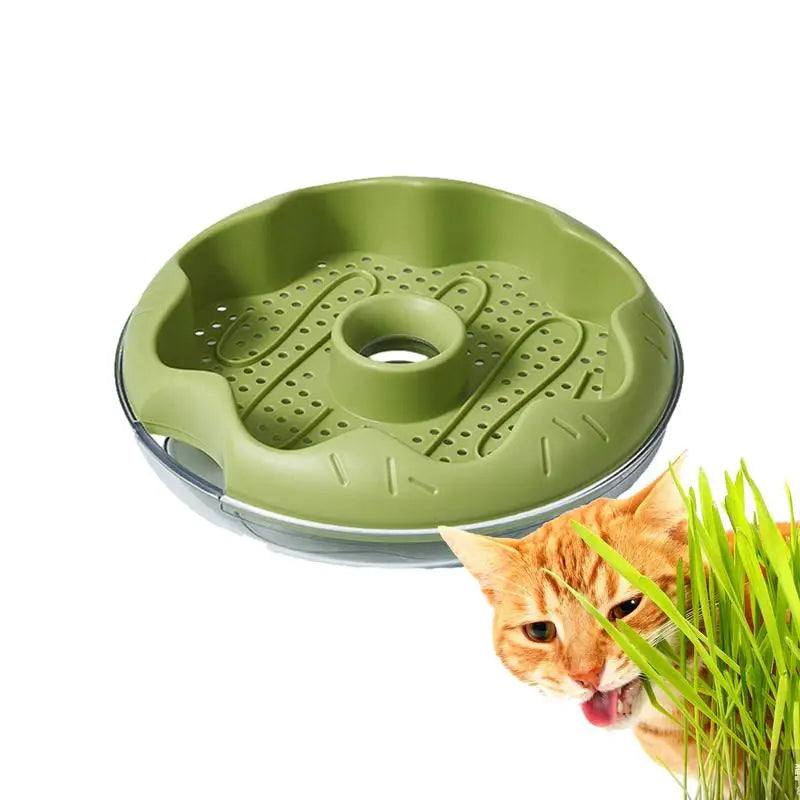 Donut Shaped Cat Grass Planting Box