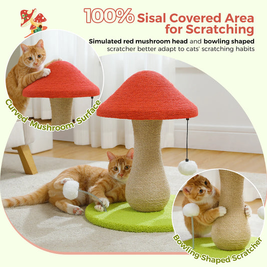 Cat Scratching Post with Spring Ball, Mushroom Scratcher