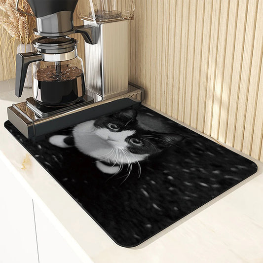 Super Absorbent Anti Skid Large Kitchen Absorbent Cat Mat