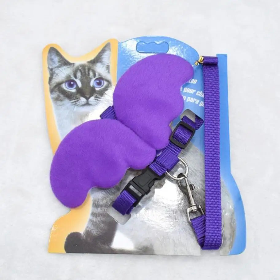 Angel wings Cat and Small Dog leash and Collar