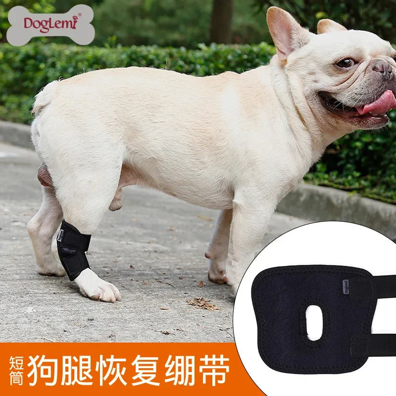 Pet Ankle Brace