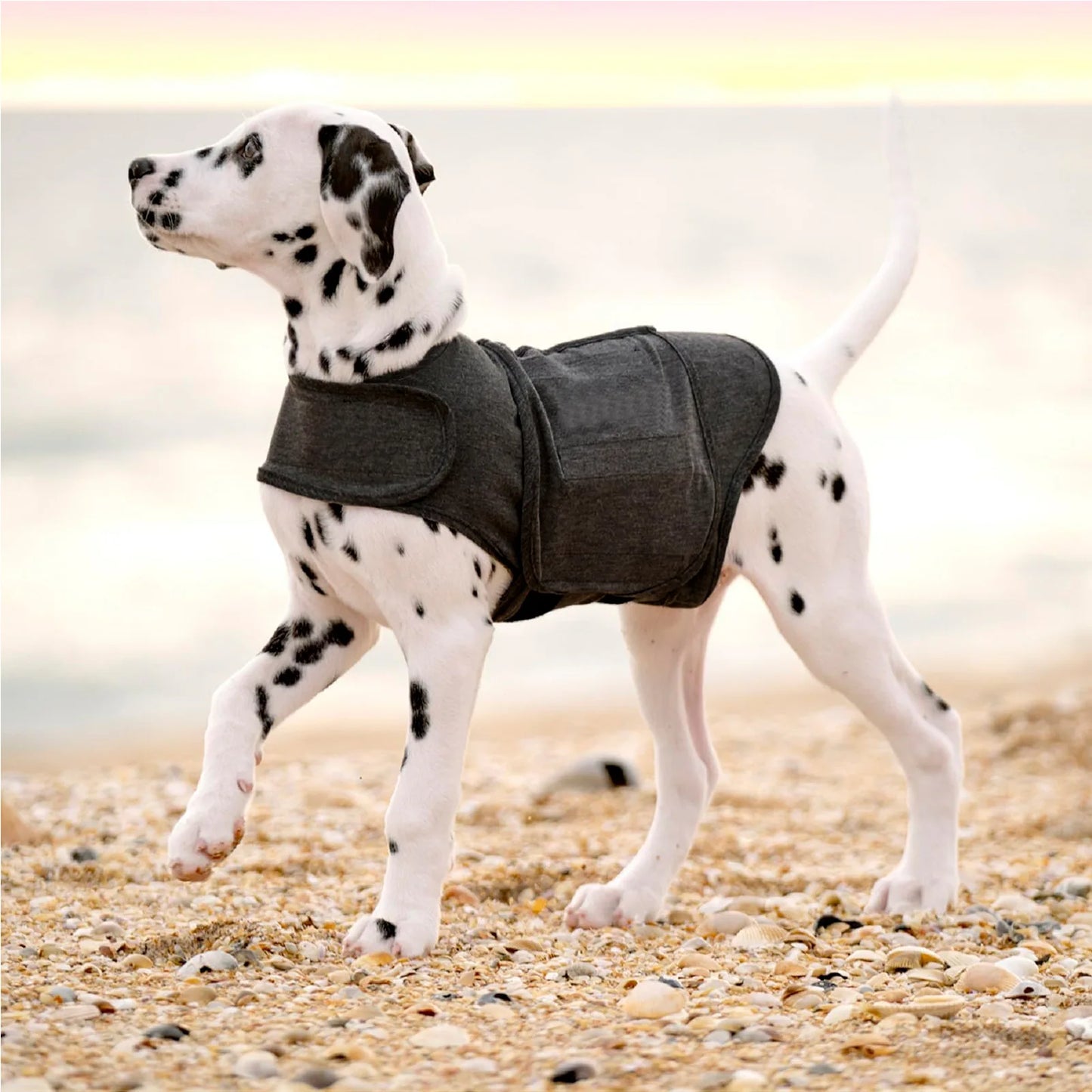 Pet Thunder Stress Anxiety Soft Vest