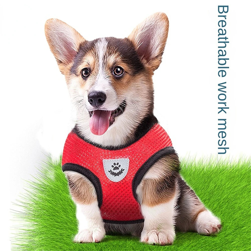 Pet Harness Adjustable Breathable Harnesses, Reflective