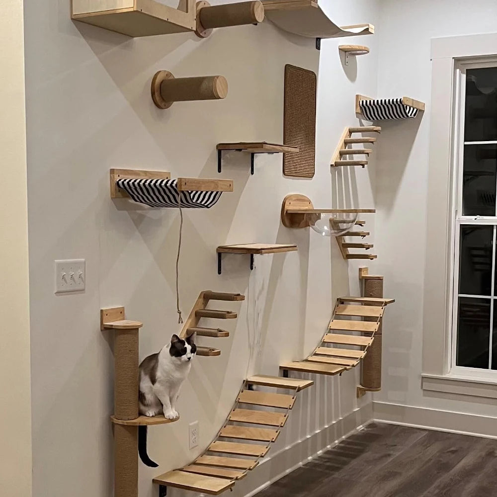 Wall Mounted Cat Climbing Shelves and Ladders