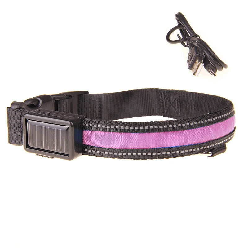 Solar Charging or USB Led Dog Collar - Love My Pet