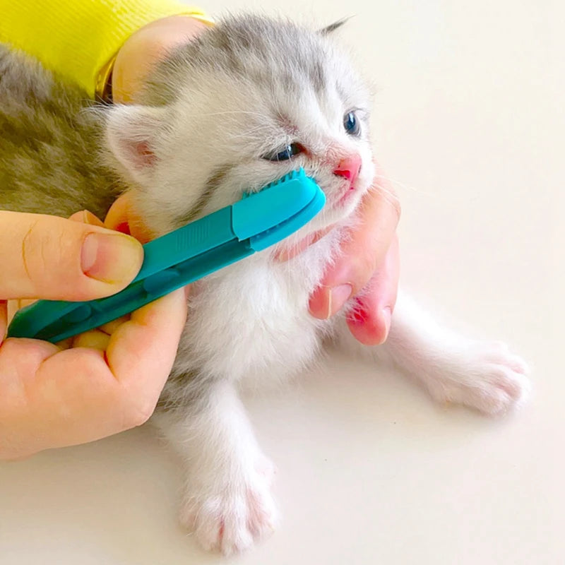 Pet Eye Comb Tear Stain Remover