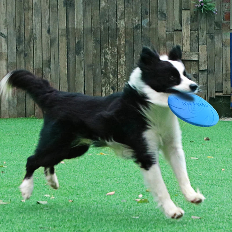 Dog Flying Discs Pet Toys