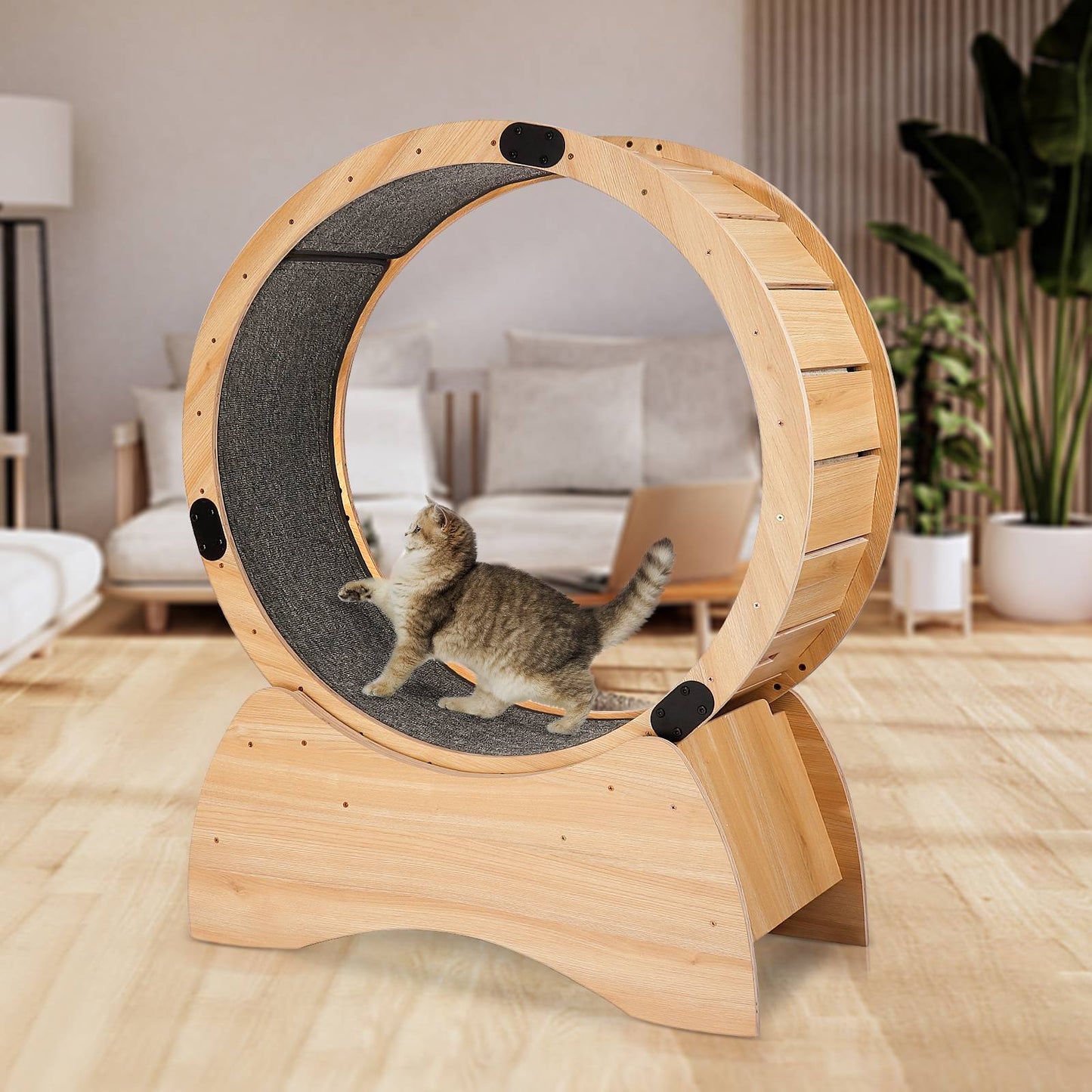 Cat Exercise Wheel Cat Treadmill With Carpeted Runway