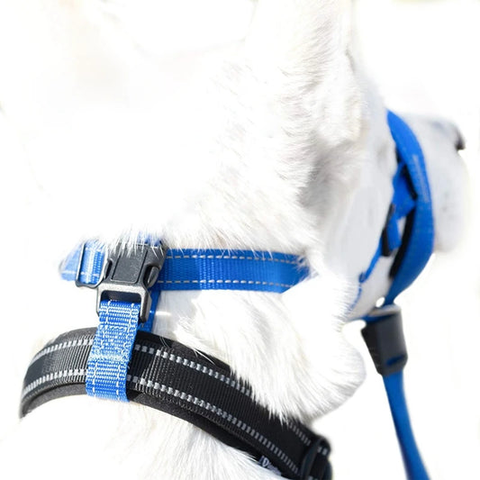 Dog Training Nylon Muzzle Set With Reflective Strips