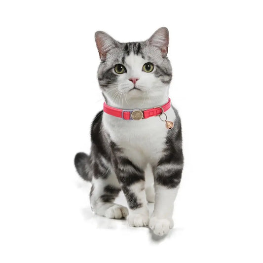 Anti-lost Pet Collars Leather