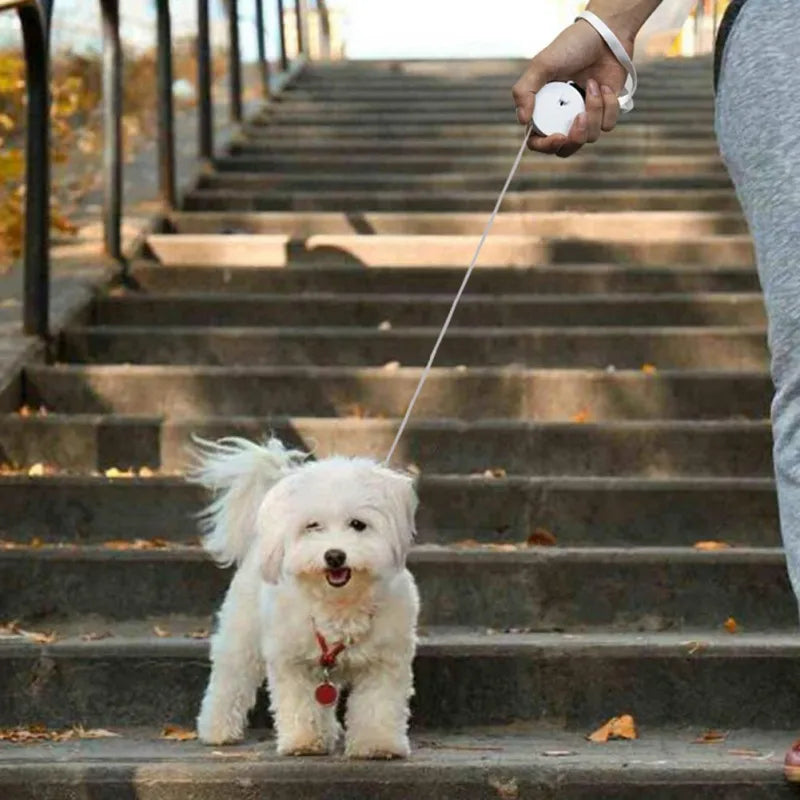 Automatic Retractable Pet Leash