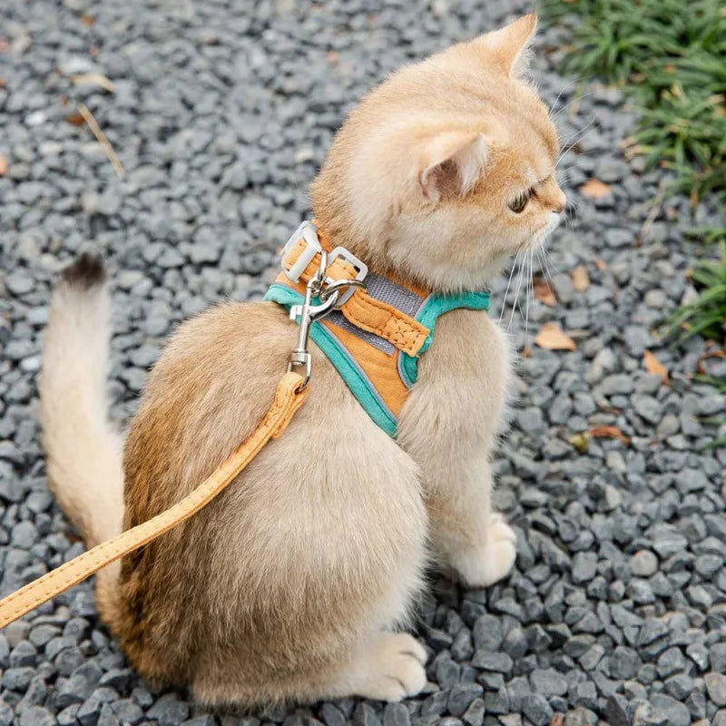 Pet Harness and Leash Set