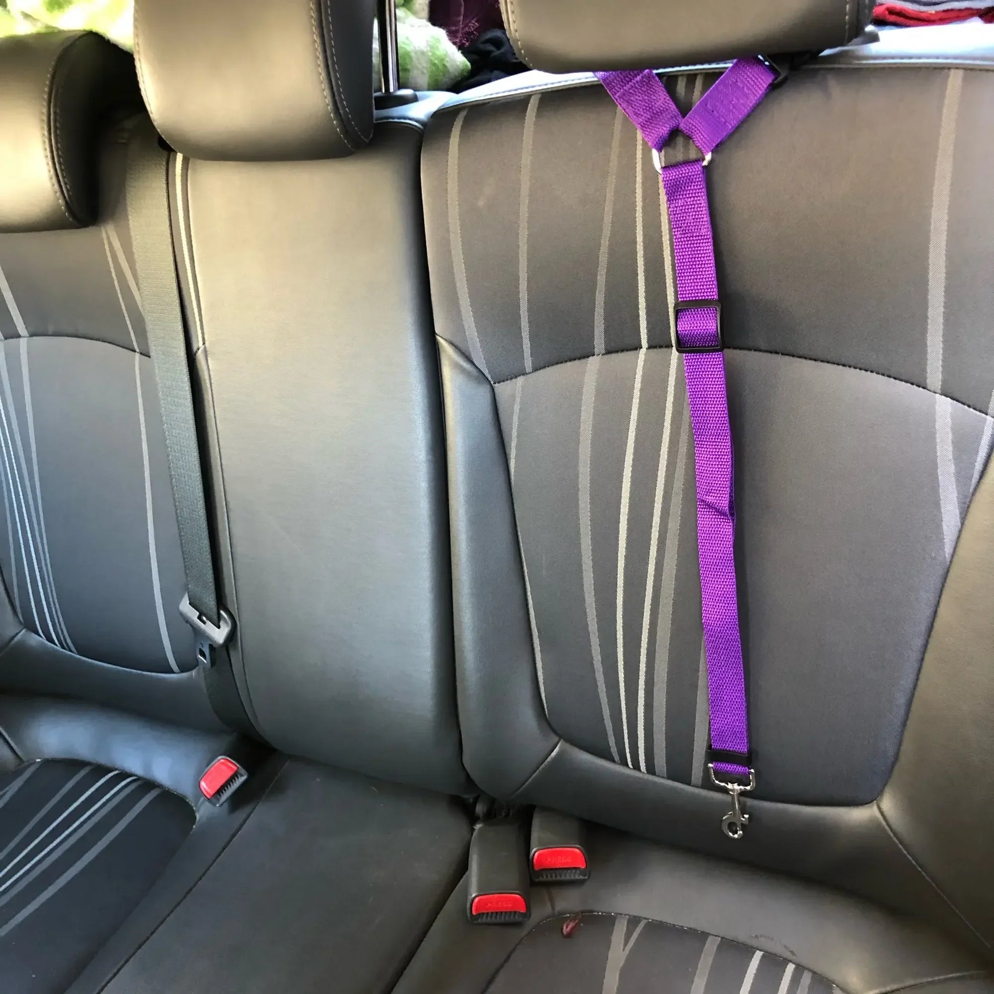 Solid Color Two-in-one Pet Car Seat Belt Nylon Lead Leash - Love My Pet