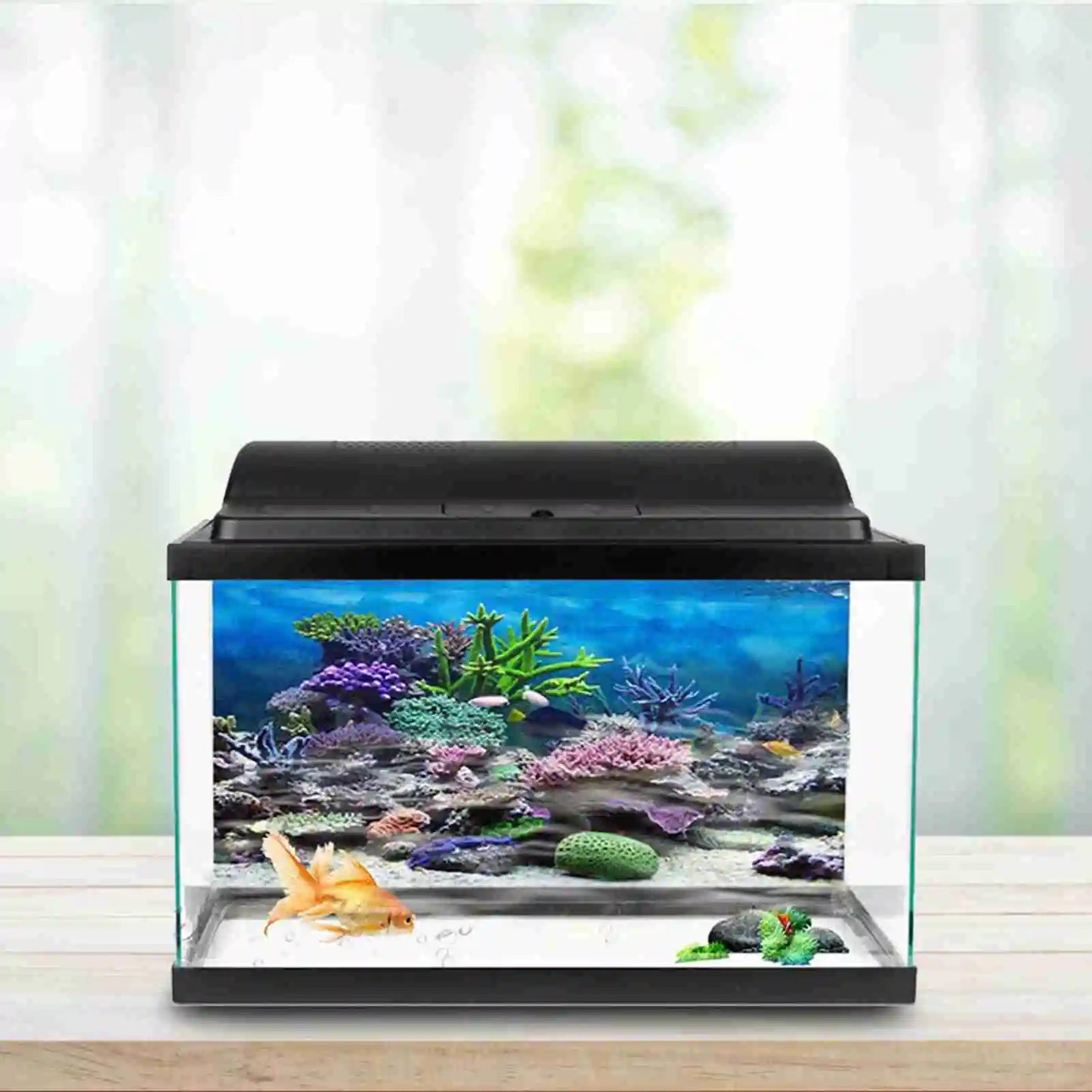 Aquarium Landscape Wallpaper Fish Tank Background