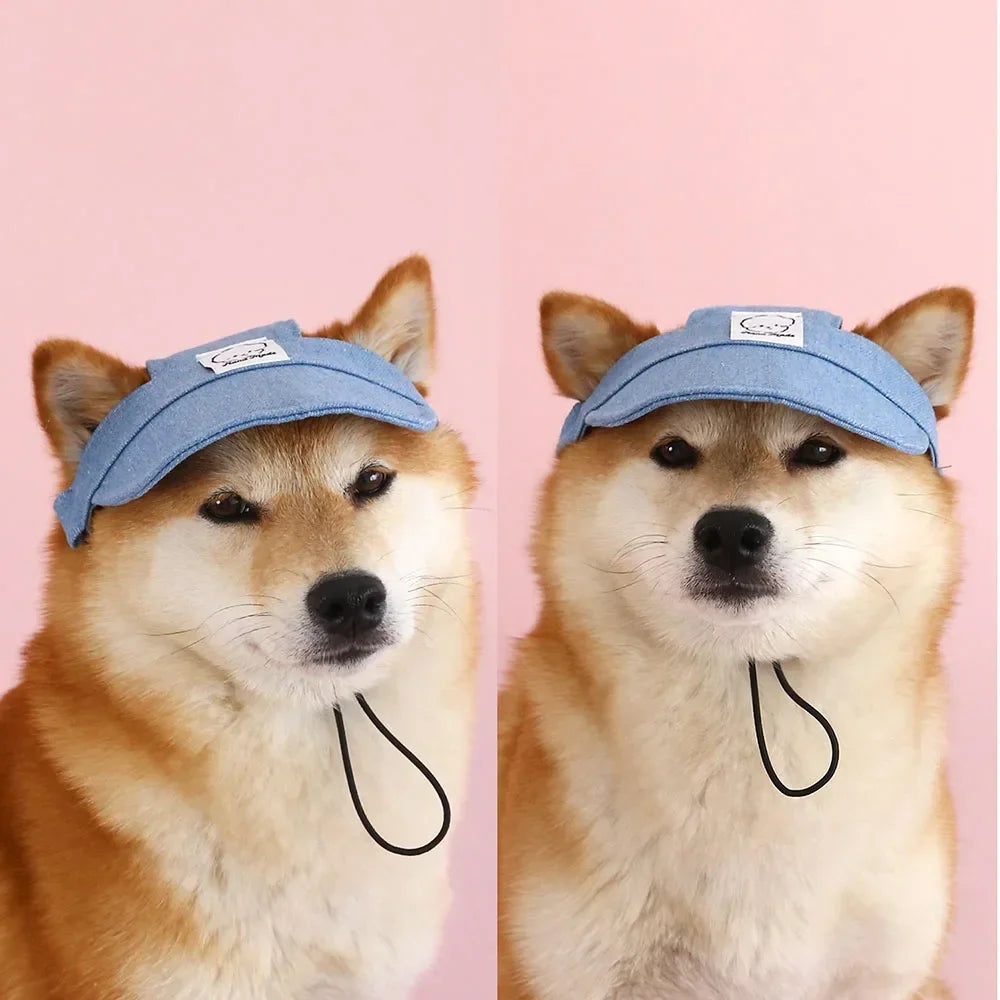 Pet Outdoor Embroidered Cartoon Sunshade Hat