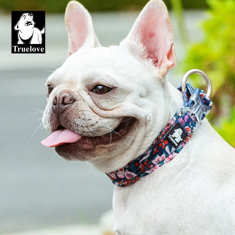 Floral Pet Collar With Padded Comfort Cushion