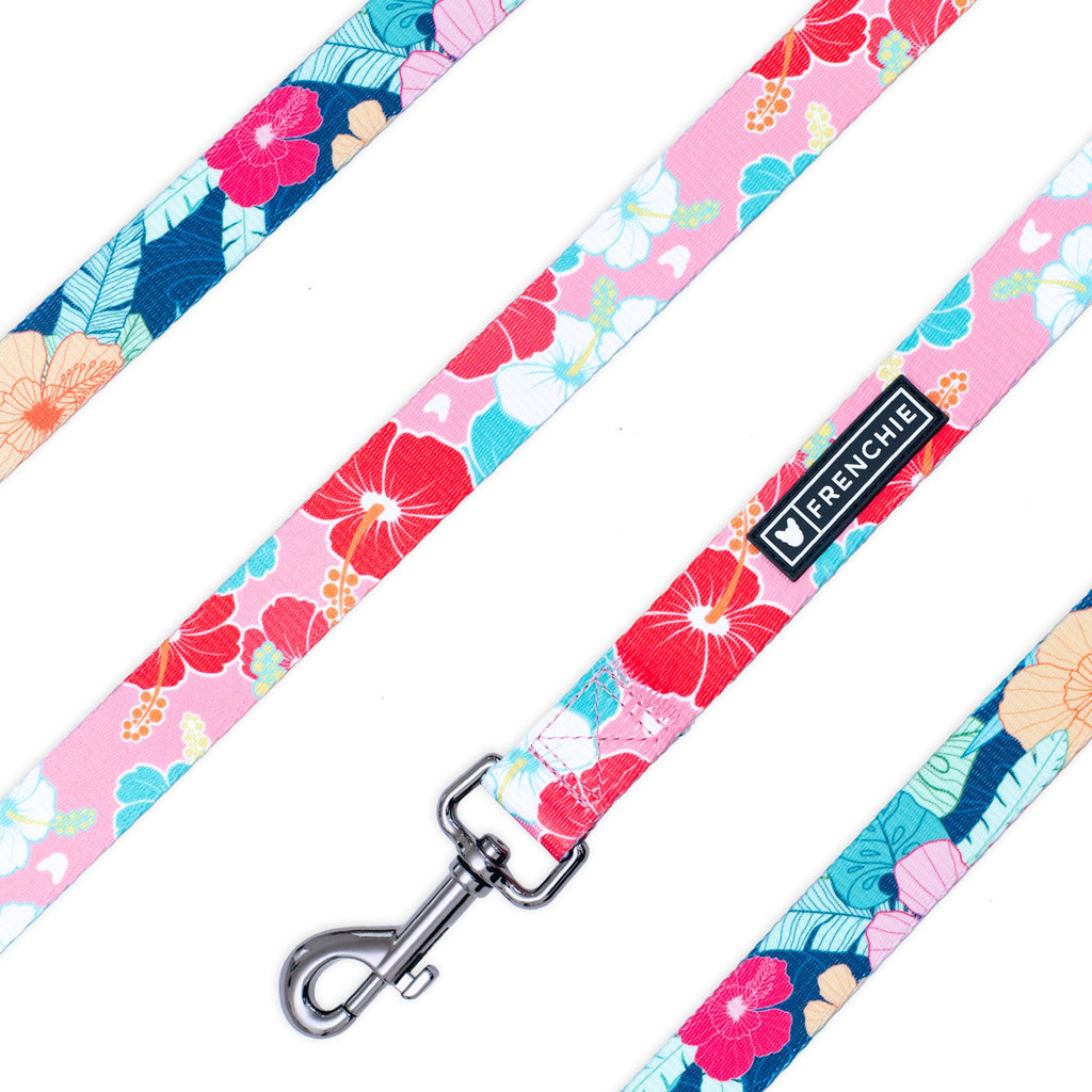 Frenchie Comfort Leash - Paradise